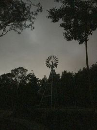 parklands  night windmill