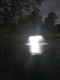 pond fountain at night